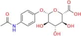 Acetaminophen Glucuronide
