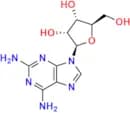 2-Amino Adenosine
