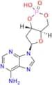 2'-Deoxyadenosine 3',5'-cyclic phosphate