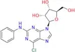 2-Phenylamino-6-chloropurine-9-β-D-riboside