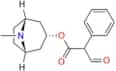 α-Formyl-(3-endo)-8-methyl-8-azabicyclo[3.2.1]oct-3-yl benzeneacetic Acidester