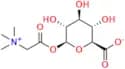 Betaine glucuronate