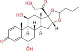 6α-Hydroxy Budesonide