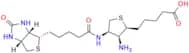 5-(5-Oxido-2-oxohexahydro-1H-thieno[3,4-d]imidazol-4-yl)pentanoic acid