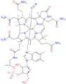Vitamin B-12 C-Lactam