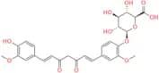 Curcumin Glucuronide