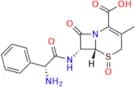 Cefalexin Sulfoxide