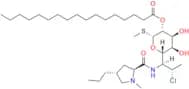 Clindamycin Heptadecanoate