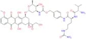 Val-Cit-PABC-DOX