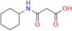 3-(Cyclohexylamino)-3-oxopropanoic Acid