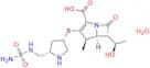 Doripenem Monohydrate