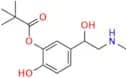 5-Pivaloyl racepinephrinea