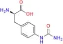 4-[(Aminocarbonyl)amino]-D-phenylalanine