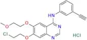 Erlotinib 7-O-Chloroethyl Analog