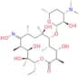 5-O-Desosaminylerythronolide A oxime