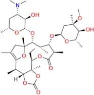 Cycloester Erythromycin Enol Ether