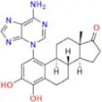 4-Hydroxy Estrone 1-N3-Adenine
