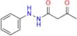 3-Oxo-N'-phenylbutanehydrazide