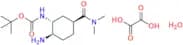 Tert-Butyl-2-Amino Edoxaban (Oxalate Hydrate salt)