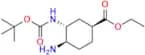 Tert-Butyl ((1R,2R,5R)-2-Amino-5-(dimethylcarbamoyl)cyclohexyl)carbamate