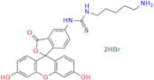 Fluorescein-Cadaverine Dihydrobromide