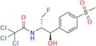 Florfenicol EP Impurity B