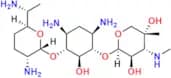 Gentamicin C2