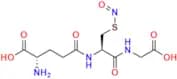 S-Nitroso Glutathione