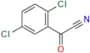 2,5 Dichlorobenzoyl Nitrile