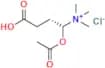 Acetyl-L-Carnitine Hydrochloride