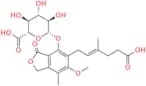 Mycophenolic Acid β-D-Glucuronide