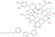 O-Desulfo Micafungin