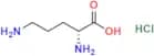 D-Ornithine