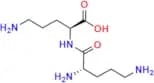 L-Ornithyl-L-Ornithine