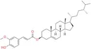 (E)-Campesteryl Ferulate