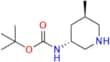 (3R,5R)-3-(Boc-amino)-5-Methylpiperidine