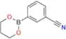 3-(1,3,2-Dioxaborinan-2-yl) Benzonitrile