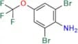 Dibromotrifluoro methoxyaniline