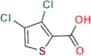 3,4-dichlorothiophene-2-carboxylic acid