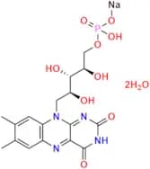 Riboflavin 5’-Monophosphate Sodium Salt Dihydrate
