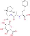 Ramiprilat Acyl Glucuronide