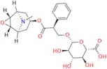 Scopolamine Glucuronide