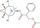 O-Acetyl rac-Scopolamine
