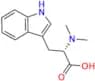 N,N-Dimethyl-L-Tryptophan