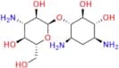Deoxystreptamine Kanosaminide