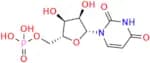 uridine 5'-monophosphate