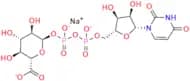 UDP-glucuronic Acid