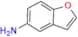 5-Benzofuranamine