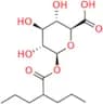 Valproic Acid b-D-Glucuronide
