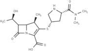 Meropenem